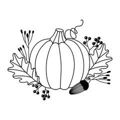 Fall Pumpkin Hand Drawn Illustration