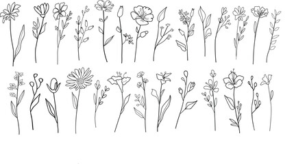 Hand drawn line art botanical leave elements. Floral vector illustration set for label, invitation, frame, logo.