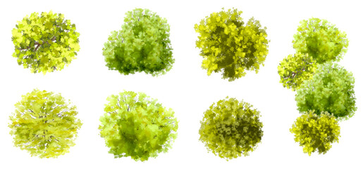 Vector set of Top view green tree for outdoor plan or map and architecture drawing, elements for environment and garden ,botanical elements ,Blooming flowers in spring,tropical plants element © Chanya_B
