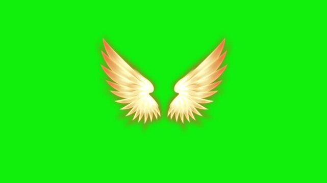 Angel birds flying wings animation video green screen.