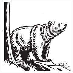 Fototapeta premium grizzly-bear-vector