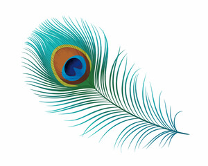 Obraz premium Exotic Peacock Feather Illustration with Vibrant Colors on White Background Perfect for Design and Decoration Projects