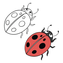 Obraz premium Cute red ladybug insect vector illustration on a white background