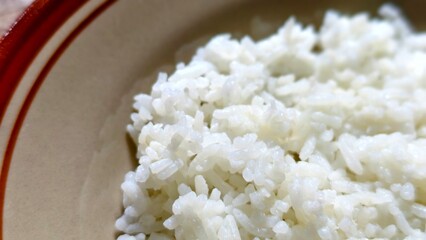 Close-Up of Cooked Rice in a Bowl with Brown Trim, Simple and Delicious: A macro shot of perfect white rice in an earth-toned bowl
