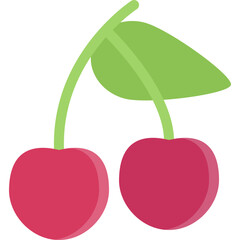 Sweet cherry illustration
