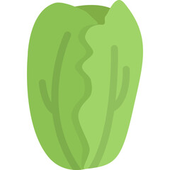 Fresh Green Lettuce Icon