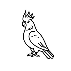 Small tropical bird line art illustration for kids coloring book