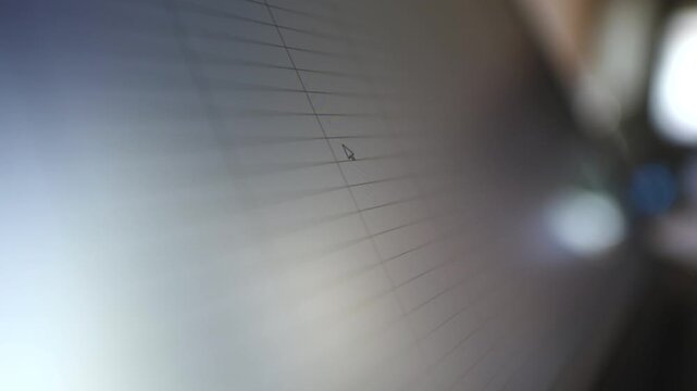 Office work. Close up of computer screen. Person using notebook. Shallow, narrow field of focus. Spreadsheets, tabs