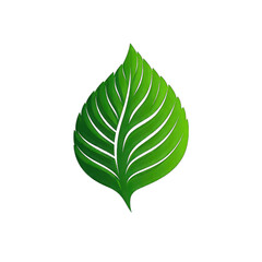 Fototapeta premium Eco-friendly leaf icon, minimal vector style, vibrant green, isolated on white background