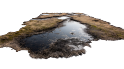  small pond with grassy banks isolated on white background