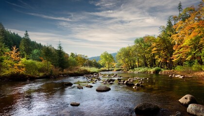Obraz premium forest river in early autumn