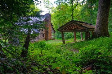 View from the forest of the Tipton Place in Cades Cove, with the lush greenery of trees and bushes of midsummer in the Great Smoky Mountains, Tennessee