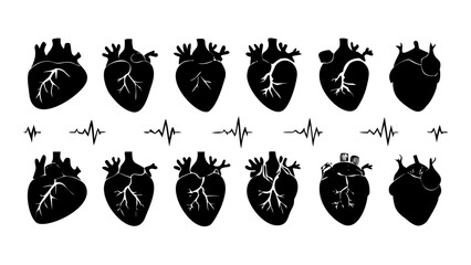 Black anatomical heart silhouette human heart organ