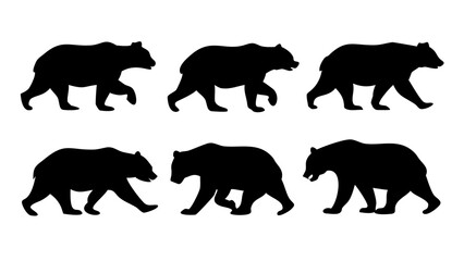 Black bear silhouette on a white background animal