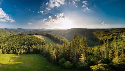 Obraz premium conservation of natural resources and preservation of the forest are encouraged by the forest s unique landscape