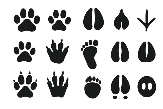 cow footprints pictures
