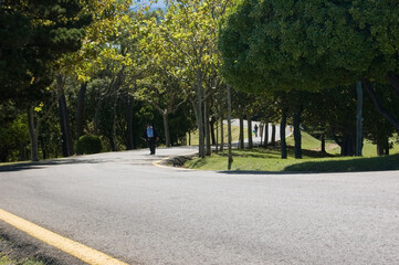 A person walking on a road surrounded by trees.