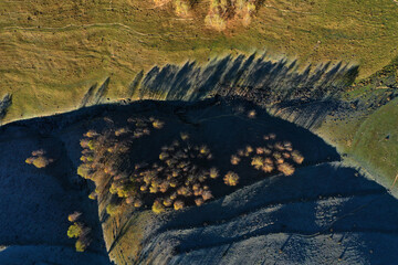Aerial top down view of autumn trees shadow on green meadow