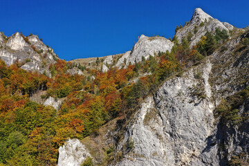Aerial view of rocky limestone mountains and autumn forest