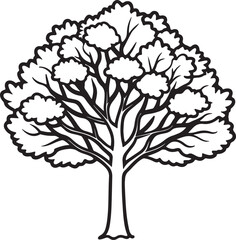 Obraz premium hickory tree line art, coloring book page line art drawing, vector and illustration