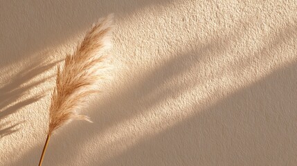 Soft beige tones highlight a delicate pampas grass stem against a textured wall, creating a peaceful ambiance.