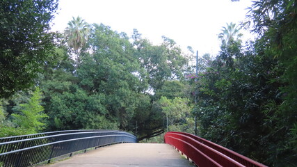 Bridge in the park
