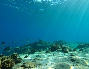 Fototapeta premium Sunlit underwater scene, showing coral reef and fish
