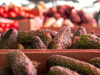 Fresh Cucumbers Displayed at a Vibrant Market in the Afternoon Sunlight