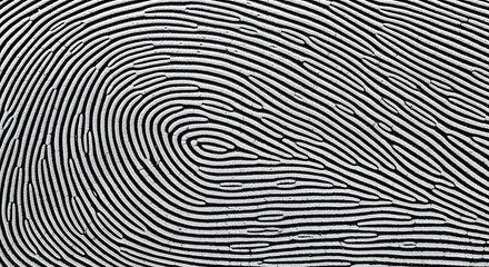 Abstract Fingerprint Texture High-Resolution Black and White Image of Unique Pattern