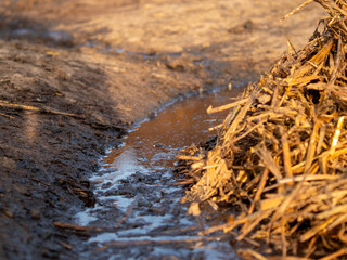 Water Pooling Near Straw Pile on a Farm Field During Late Afternoon Sunshine