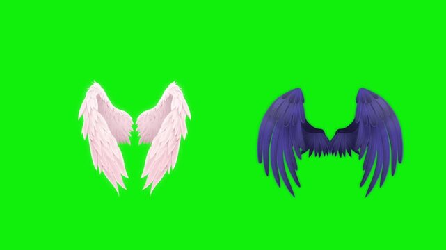 Angel birds flying wings animation video green screen.