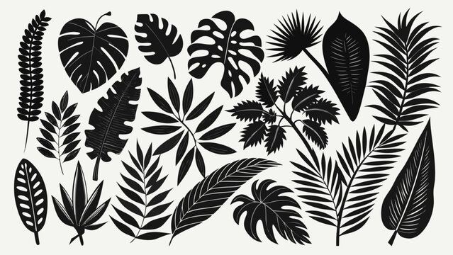 Vector art of a collection of black tropical plant leaves and ferns, creating a naturalistic pattern on a light background, perfect for botanical and naturethemed designs
