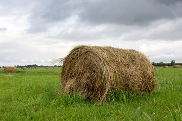Round hay bale on green field under cloudy sky.