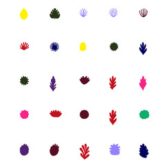 a bunch of different colored leaves on a white background