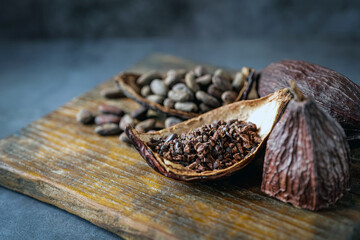 Close-up of Cocoa nibs and cocoa bean