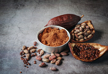 Natural cocoa powder with brown cocoa beans and dry cacao nibs on gray background