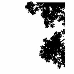 Aerial View Tree Canopy Vector