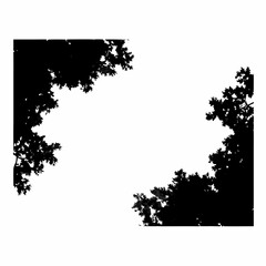 Aerial View Tree Canopy Vector