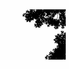 Aerial View Tree Canopy Vector