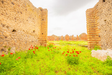 View of the historical ruins of Pompeii in Italy. Top destinations in Italy. Trip to Europe.