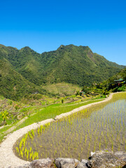 フィリピンのバナウェ