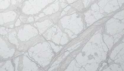 A light gray and white marble texture with intricate veining patterns across the entire surface area view
