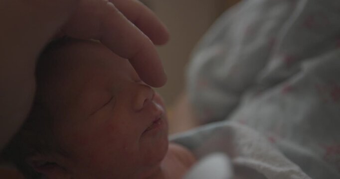 New Born Babys Head Being Held and Nose Boop