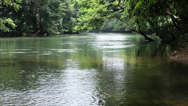 The view of Kallar river from the area of Adavi Eco Tourism, Pathanamthitta, Kerala, India