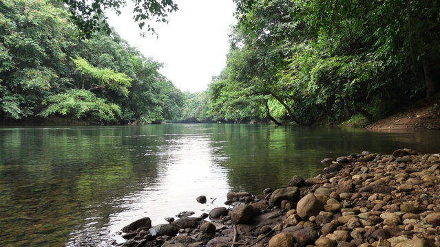 The view of Kallar river from the area of Adavi Eco Tourism, Pathanamthitta, Kerala, India
