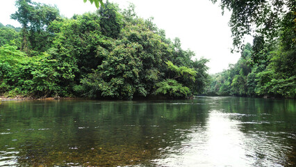 The view of Kallar river from the area of Adavi Eco Tourism, Pathanamthitta, Kerala, India