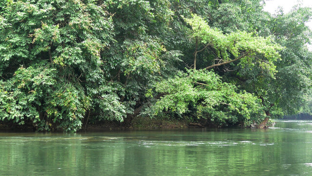 The view of Kallar river from the area of Adavi Eco Tourism, Pathanamthitta, Kerala, India