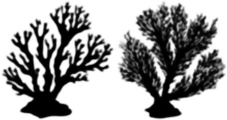 Fototapeta premium Black silhouettes of two coral branches, grayscale effect