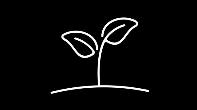 Sprout grows out of soil, graphic animation. Alpha channel. White linear. Transparent background motion design. 4K resolution