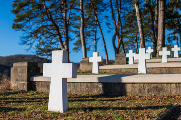 Cemetery landscape featuring white crosses among trees in a serene setting during daytime